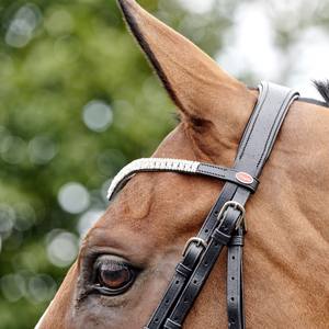 Lynton Snaffle Bridle avec 2 bandeaux Obstacles équins de haute qualité Produits pour chevaux Show Jump Bridle Multi-Functional Western - Product Image 4