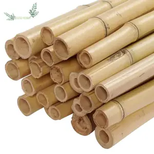 Pólos de bambu naturais tratados para venda Pólos de bambu secos de muitas cores para jardim do Vietnã