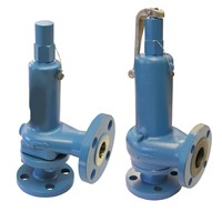 Katup Pengaman ASTM 216 Gr WCB Manual Power 1 inci x 2 inci Tekanan 15 BARG Hemat Energi PTFE Penggunaan Industri Pelepas Tekanan Beragam