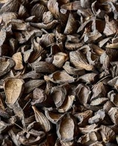 เปลือกปาล์มแห้งธรรมชาติสำหรับอุตสาหกรรมพลังงานชีวมวล แหล่งกำเนิดจากสหภาพยุโรปและบราซิล อายุการเก็บรักษา 12 เดือน - Product Image 2