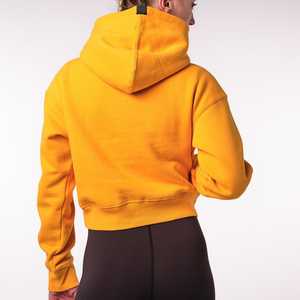 Oem Service New Design Custom Women Oversized Fleece Hoodie Long 100% Cotton Pullover Sweatshirt Plus-Size Autumn Anti-Wrinkle - Product Image 2