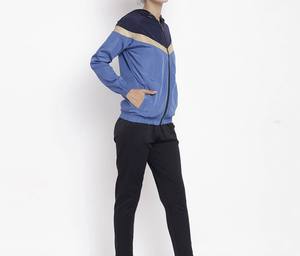 Nouvel ensemble de survêtement d'hiver à capuche uni pour femme, personnalisable avec logo, vente en gros, sur mesure pour le jogging - Product Image 2