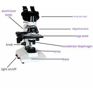 Microscope biologique optique à double vision avec source de lumière LED, grossissement 400x et 1600x - Product Image 4
