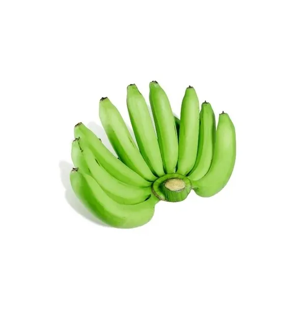 Top Quality Green cavendish banana Type 1 Top Grade Natural Color Best Selling Good Choice