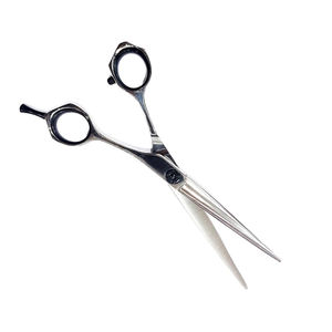 คุณภาพสูงผมกรรไกรความงามกรรไกรตัดผมสแตนเลสตรงมีดโกนตัดผมตัดผมกรรไกรสําหรับ Salon - Product Image 5