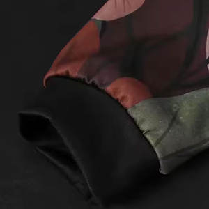 Sweat-shirts pour hommes de haute qualité en stock, motif uni, col montant, utilisation en extérieur en automne - Product Image 4