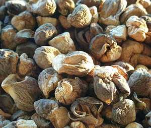 Meilleur exportateur de champignons de paille séchés du Vietnam, naturels et nutritifs, en vrac - Product Image 2