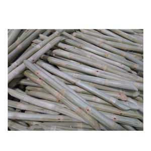 แท่งปอกเปลือกอ้อยแช่แข็งแบบพรีเมี่ยมจากเวียดนามที่มีคุณภาพสม่ำเสมอสำหรับสมูทตี้น้ำผลไม้ขนมหวานและสินค้าส่งออก - Product Image 3