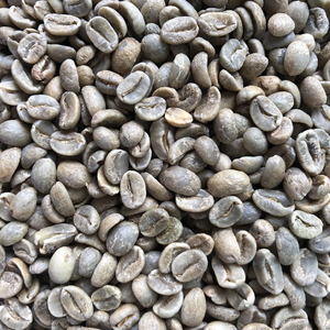 เมล็ดกาแฟ Robusta arabica แบบ2025 2024ใหม่คั่วบดผสมโดยตรงจากเวียดนาม Contact + 84398885178 - Product Image 1