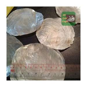 CLEAR CAPIZ SEASHELL <b>ORNAMENT</b> HOME DECORATIVE CRAFTS MADE FROM CLEAR SEASHELL POLISHED ROUND CUT CAPIZ SEASHELL - Product Image 4