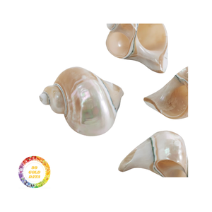 Affordable Seashell Napkin Rings-Beautiful Dining <b>Accessories</b> from 99 Gold Data - Product Image 6