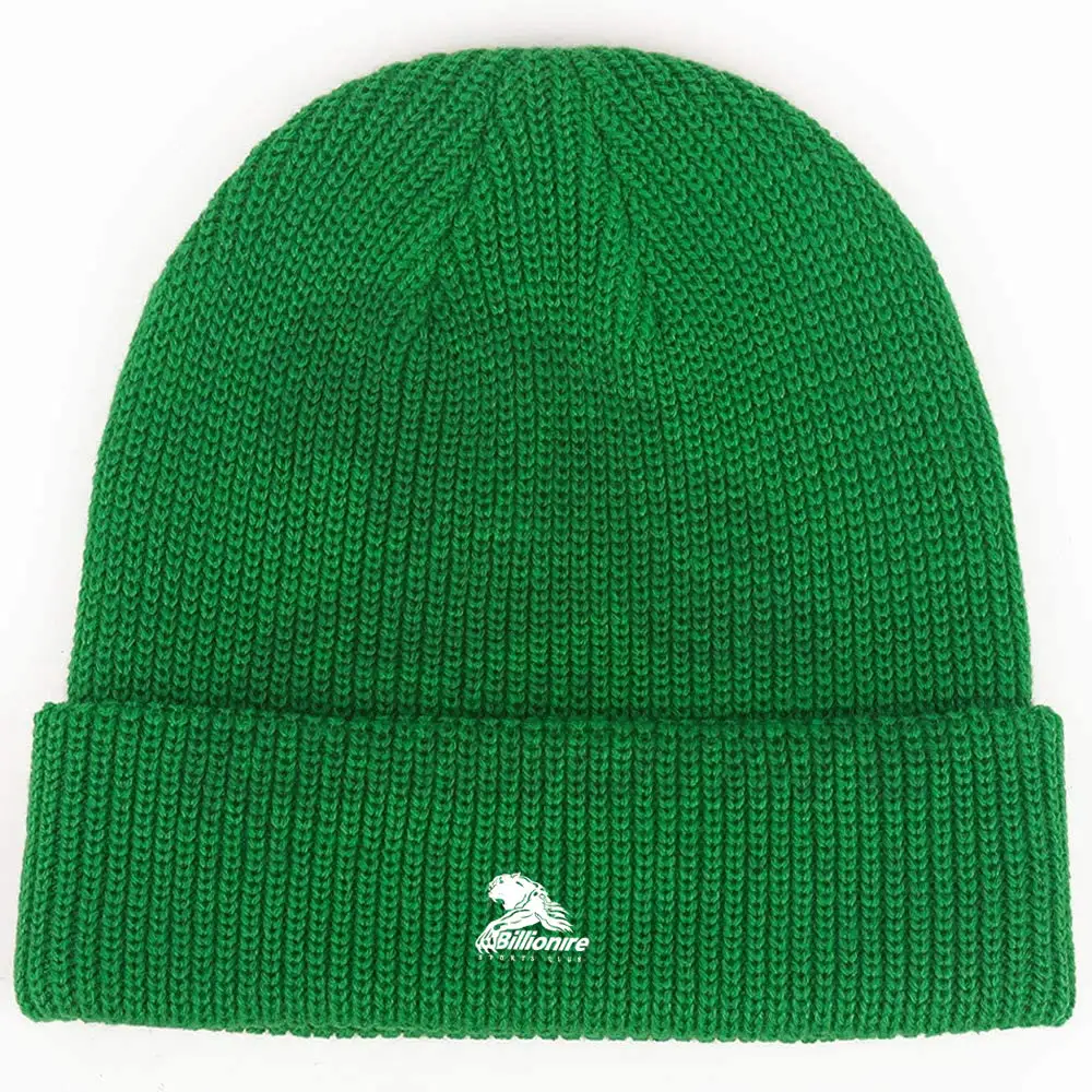 New style 100% acrylic knitted winter beanies Caps / High Quality Custom Logo Printed Casual wear Winter Beanie Caps