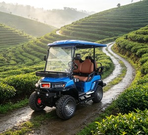 Voiturette de golf compacte C727.2+2G à 4 places, rehaussée, idéale pour les Géoparks et les points de vue en montagne. - Product Image 3