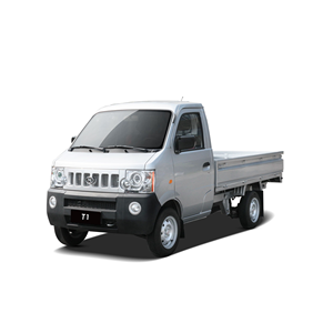 Camion électrique d'occasion pour l'entrepreneuriat automobile, véhicule à énergie nouvelle, pour adultes, pas cher, pour SRM T1L 160KM Minitruck - Product Image 5