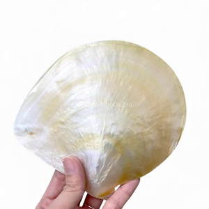 Handcrafted Mother of Pearl Shell Dish for Luxury Table Decor Dessert Serving and <b>Jewelry</b> <b>Holder</b> From Vietnam - Product Image 3