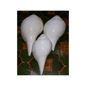 CONCHA BLANCA FAVORITA DE LA INDIA RECOGIDA EN VIETNAM VENTA SUPERIOR ARTESANÍA NATURAL CONCHA BLANCA VENTA BARATA - Product Image 6