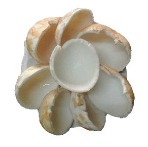 Carne de coco congelada más vendida con cubos IQF en rodajas de 99 Gold Data Vietnam - Product Image 3