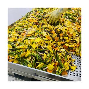 ผลิตภัณฑ์ผักและผลไม้ตากแห้งแบบแบ่งประเภทสำหรับการสั่งซื้อจำนวนมากและตัวแทนจำหน่าย - Product Image 1