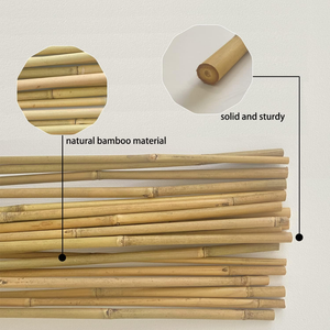 Estaca de bambú Natural y Flexible, caña de bambú, poste de bambú con alta calidad para construcción, agricultura, superventas - Product Image 6