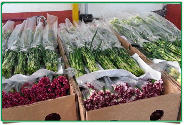 ติดต่อซัพพลายเออร์