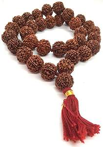 Rudraksha de 7 Mukhi con Colgante Trishul de Plata 925, Natural y Certificado, Curación Astrológica y Energía Positiva, Diseño Unisex - Product Image 2