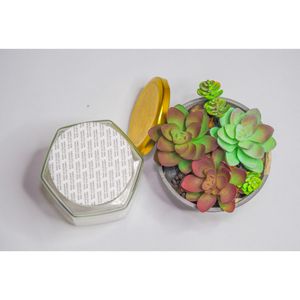 Wholesale Waterproof Leak-Proof <b>Bottle</b> Stoppers Induction Seal Liner Without Use From Vietnam Manufacturer - Product Image 1