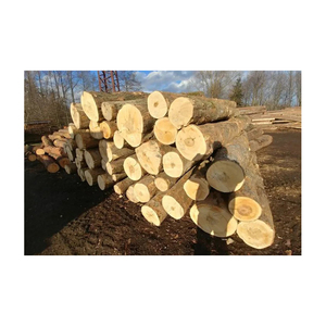 Mangrove Hardwood Kiln-Dried Firewood <b>Logs</b> Top Grade Biofuel 28 C/83F Sold in Bulk Quantity - Product Image 6