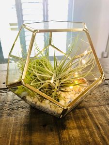 Terrarium โลหะสไตล์วินเทจแบบชนบทเหมาะสำหรับการแสดงพืชขนาดเล็กในการตกแต่งพื้นที่อยู่อาศัย - Product Image 6