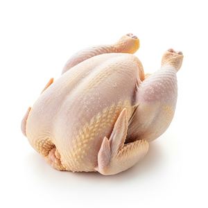 Pollo Entero Congelado Fresco de Primera Calidad Halal, Empaquetado a Granel, Limpio y Congelado, Proceso IQF para Restaurantes y Compradores Minoristas - Product Image 5