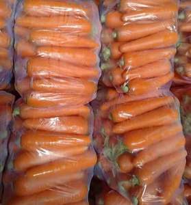 Zanahorias de alta calidad de Vietnam que cumplen con los estándares de exportación en productos agrícolas - Product Image 3