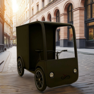 Bicicletta Elettrica da Carico a Quattro Ruote con Doppia Batteria da 250W, Grande Capacità, Vendita all'Ingrosso - Product Image 2