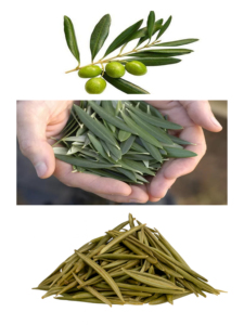 Hojas de Olivo Secas Enteras Ayana 100% Naturales, Puras, Silvestres y de Grado Alimenticio de Egipto - Product Image 6