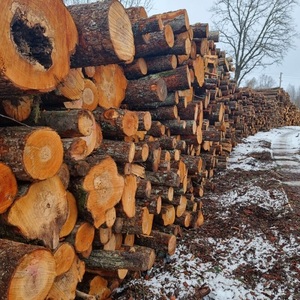 ซื้อท่อนต้นไม้ชนิดหนึ่งที่ขายดีที่สุดในระดับพรีเมี่ยมเหมาะสำหรับยามเย็นที่อบอุ่นด้วยไฟจัดส่งรวดเร็วและขายส่งตอนนี้ - Product Image 3