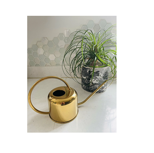 การออกแบบที่ได้รับการรับรองคุณภาพดีที่สุดโลหะเหล็กการออกแบบใหม่รดน้ํารูปร่างที่กําหนดเองสําหรับบ้านสวนการใช้งานประจําวัน - Product Image 1