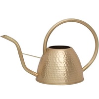 Moderne design duurzame metalen gieter 1,3L poedercoating glanzende groene afwerking decoratief voor binnenplanten tuin balkon patio