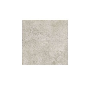 Azulejos vitrificados de calidad de exportación India Azulejos de baño de 2x2 pulgadas con azulejo de porcelana de aspecto elegante - Product Image 1
