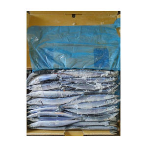 Approvisionnement en vrac saury WR congelé vente en gros pas cher prix fiable qualité poisson congelé - Product Image 4