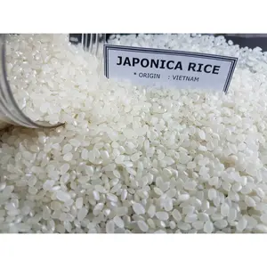 Riso vietnamita riso japonica nuovo raccolto di alta qualità Ms Alicia + 84 388 385 347