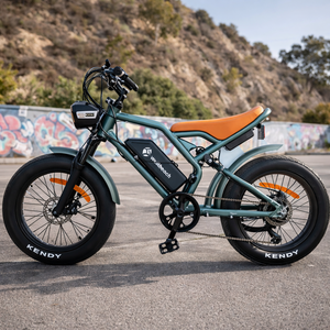 Motocicleta Todoterreno de Alto Rendimiento, 200cc/300cc, Motor sin Escobillas, Encendido CDI, Arranque a Patada, Transmisión por Cadena, para Conducción en Senderos - Product Image 2