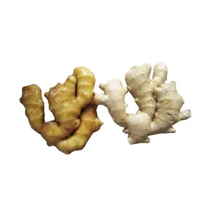 100% Good quality dried ginger price cheap factory dehydrated ginger