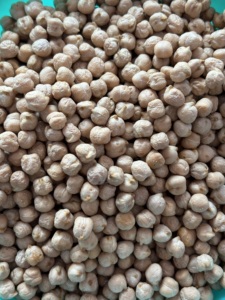 Kabuli Chana séché, trié naturellement et emballé de manière hygiénique - Product Image 2
