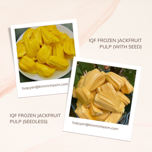 GTop Best-Selling Kosher Certified IQF Frozen Sweet Yellow Jackfruit 100% Natural Vietnam Origin Embalaje entero a granel - Product Image 4