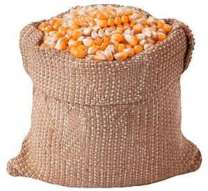 Maïs jaune d'exportation de qualité supérieure, longue conservation, grains propres et secs pour les usines d'aliments pour volailles, les fermes bovines et les entreprises alimentaires - Product Image 4