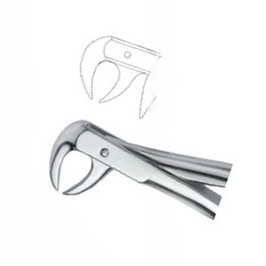 Forceps d'extraction dentaire Fig86 C manuel en acier inoxydable de haute qualité, instruments dentaires certifiés CE, vente chaude, logo personnalisé - Product Image 5
