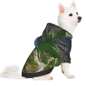 Sweat à capuche pour chien de base pull à capuche doux et chaud pour chien avec trou de laisse et poche manteau d'hiver pour chien vêtements par temps froid pour animaux de compagnie - Product Image 3