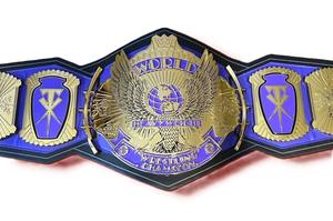 Cinturones de campeonato personalizados Trofeos Medallas y premios El símbolo definitivo de Victoria y excelencia Cinturones de Campeonato - Product Image 2