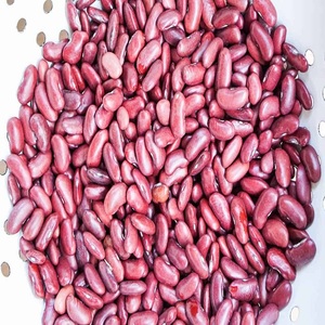 Haricots Rouges Séchés en Gros 25kg 50kg - Haricots Rouges Mouchetés Haricots Noirs Origine Durée de Conservation 12 Mois - Product Image 1