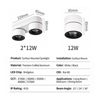 Spot LED Moderne 2*12W à Double Tête, Montage en Saillie, Orientable, pour Hôtels, Magasins et Éclairage Intérieur