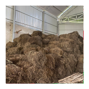 El proveedor de Vietnam 99 Gold Data ofrece hojas de gelatina de hierba seca para el procesamiento de gelatina y bebidas herbales - Product Image 3