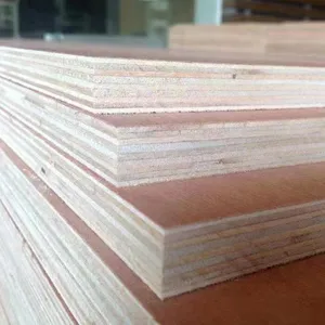 层木/playwood门商用Bintangor胶合板胶合板门设计建筑用途，用于多样性目的